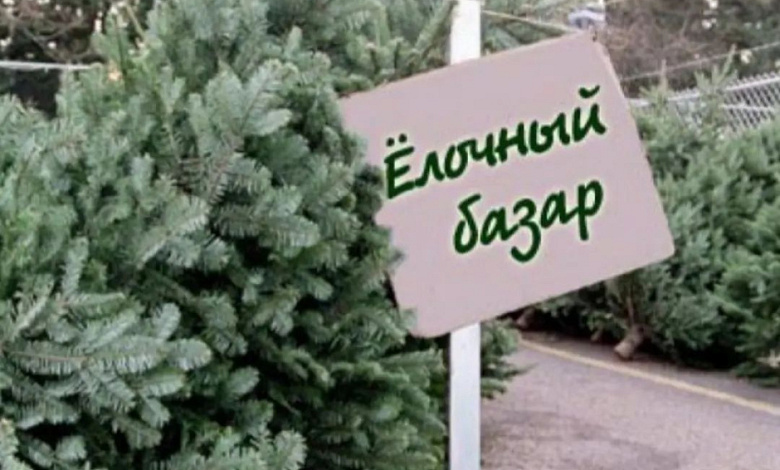 Места продажи и цены на новогодние деревья в Лунинецком районе