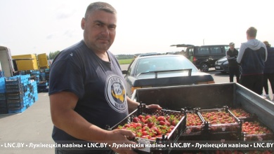 На клубнику хорошая цена, но ягоды не так и много | Лунинецкий район 