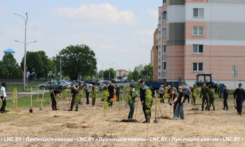 Аллею Памяти высадили в Лунинце