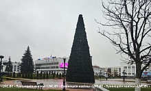 Торжественное открытие новогодних ёлок состоится в Лунинце и Микашевичах