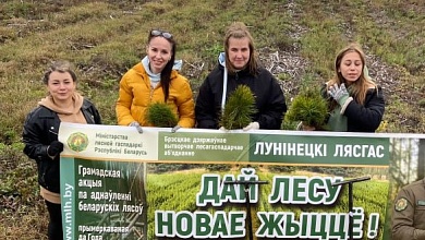 Представители суда и отдела Следственного комитета присоединились к акции «Дай лесу новае жыццё!»  