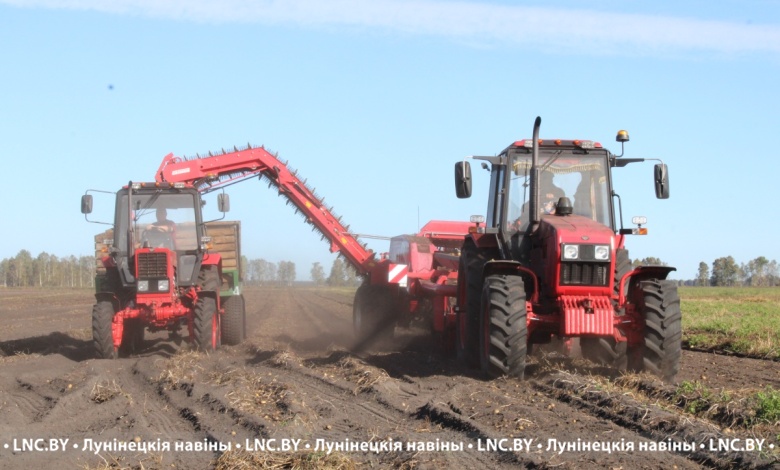 В Лунинецком районе началась массовая уборка картофеля