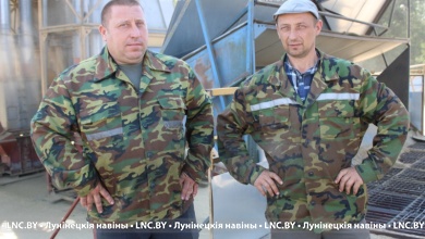 На современных установках дорабатывают зерно в "Вульковском рассвете"