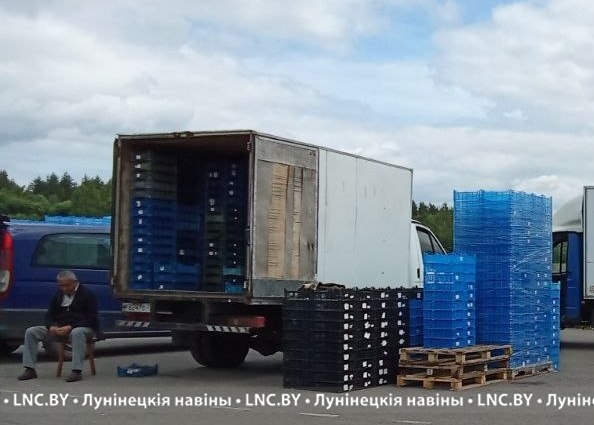 Цена на клубнику: купить хорошую ягоду желающих много в Лунинецком районе 