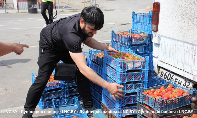 Клубничный сезон в Лунинецком районе набирает обороты. Какие цены на ягоды?