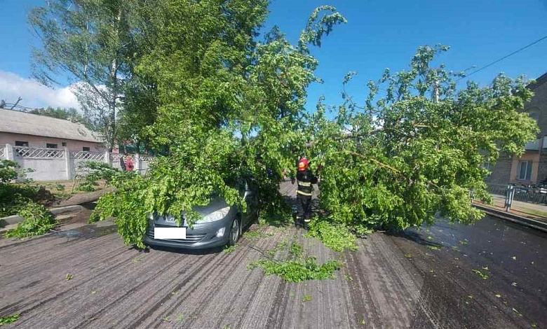 Спасатели устраняли последствия непогоды в Брестской области