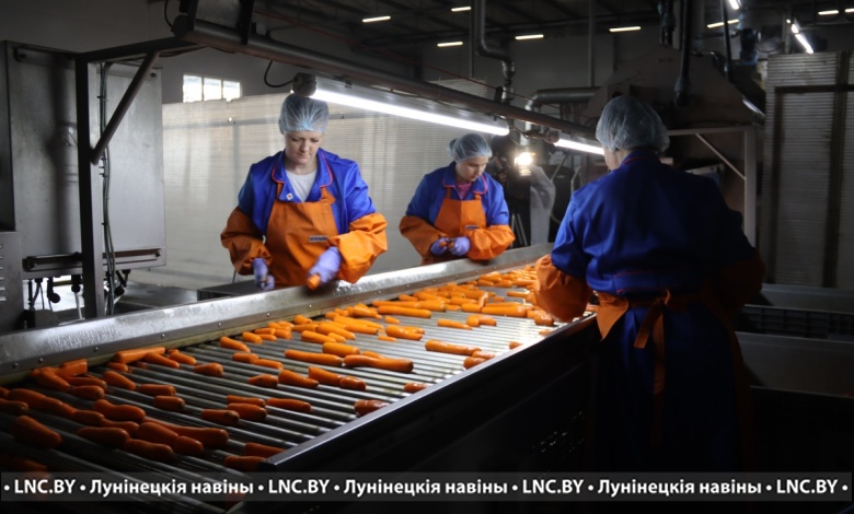 В Беларуси выращивают овощей в разы больше, чем составляют потребности, НО есть НЮАНС 