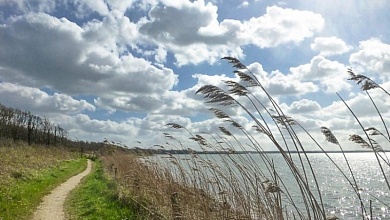 Грозы и сильный ветер! Оранжевый уровень опасности объявлен в Беларуси 22 июня 