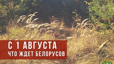 Что ждет белорусов 1 августа? Самые важные изменения