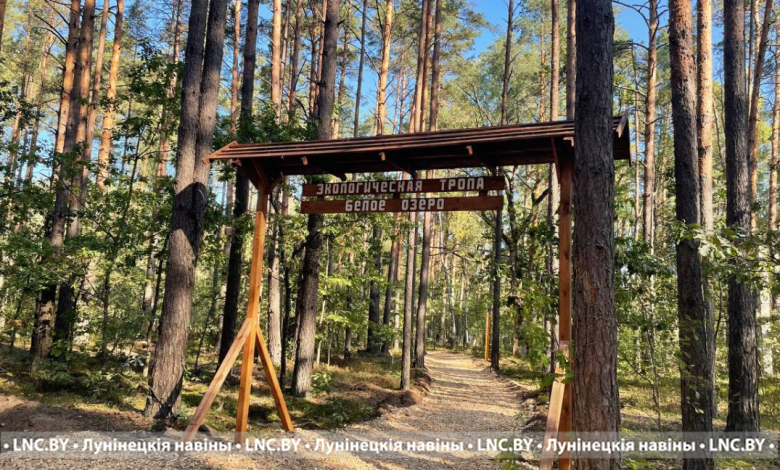 Уникальная экологическая тропа «Белое озеро» создается в Лунинецком районе