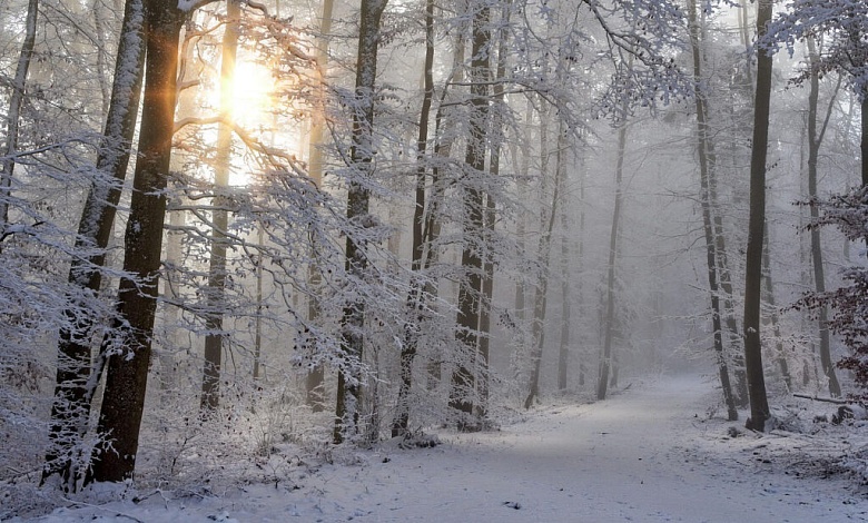 Спасатели напоминают, как не стать заложником сильных морозов