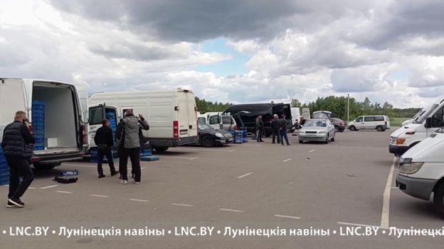 Отборная клубника по 12 рублей. Торг на клубничном рынке в Лунинецком районе 