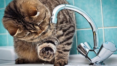 9 октября отключат холодную воду на двух улицах Лунинца 