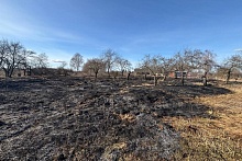 "Каждую весну соседи жгут прошлогоднюю траву". Разрешены ли палы и как избежать опасности?