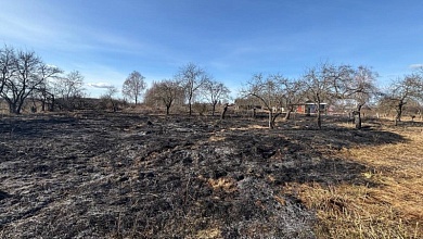 "Каждую весну соседи жгут прошлогоднюю траву". Разрешены ли палы и как избежать опасности?
