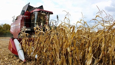 В Лунинецком районе продолжается уборка кукурузы на зерно