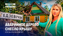Дерево упало на крышу. Кто ответит за все - история в деталях   