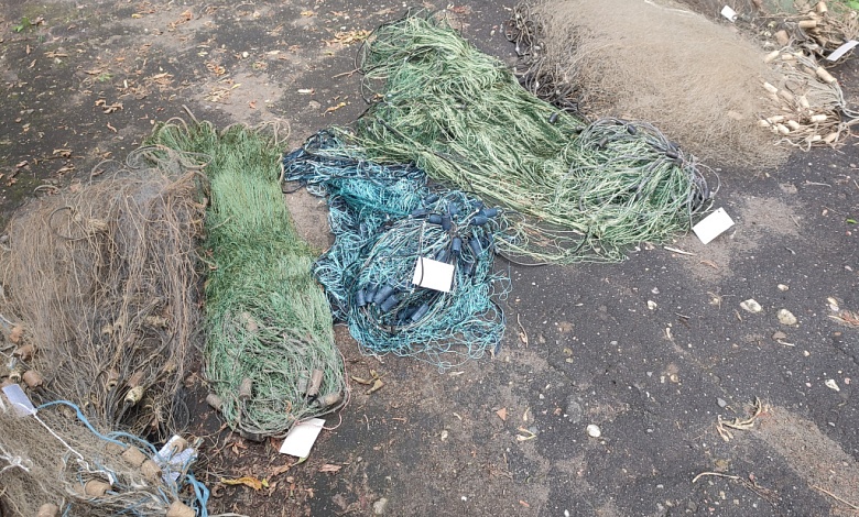 Полешукам напомнили о нересте и предложили сдать запрещённые орудия рыболовства   