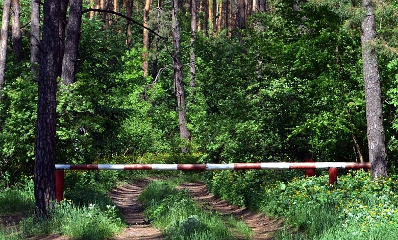 В Беларуси в 20 районах введены ограничения на посещение лесов