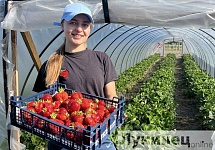 Проект «#1РЕГИОН ГЛАЗАМИ БЛОГЕРОВ» стартует в Брестской области