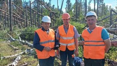 Работники Лунинецкого лесхоза помогают в разработке буреломов коллегам из Калинковичского района 