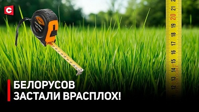 Чем возмущены белорусы? Штраф за траву выше 20 см! |  Как ЖКХ наводит порядок?