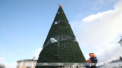 А в Бресте уже начали монтировать главную новогоднюю елку области