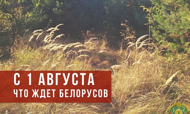 Что ждет белорусов 1 августа? Самые важные изменения
