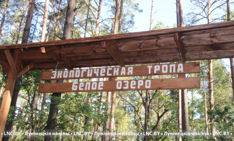 Образовательный центр под открытым небом появится в Лунинецком районе