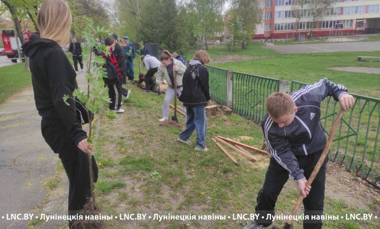 Аллею памяти обновили возле второй школы в Лунинце