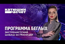 Как экстремисты планируют сорвать выборы в Беларуси? Отчаянные попытки беглых