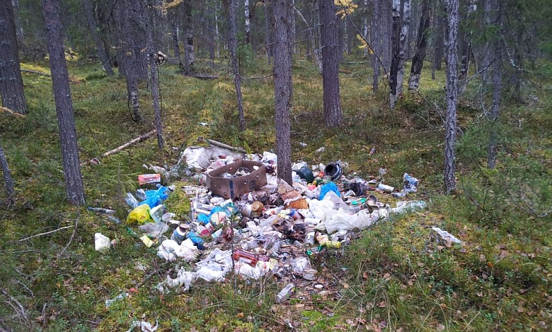 Госконтроль проверит факты беспорядка в лесных массивах Брестской области