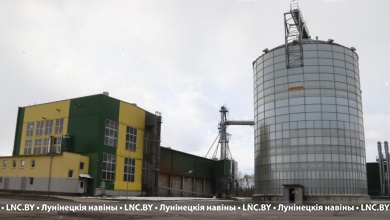 Выгодно всем! Как зарабатывают на рапсе в Лунинецком районе