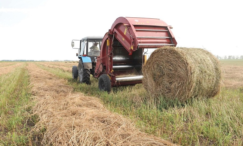 Нарушения заготовки кормов установил Комитет госконтроля