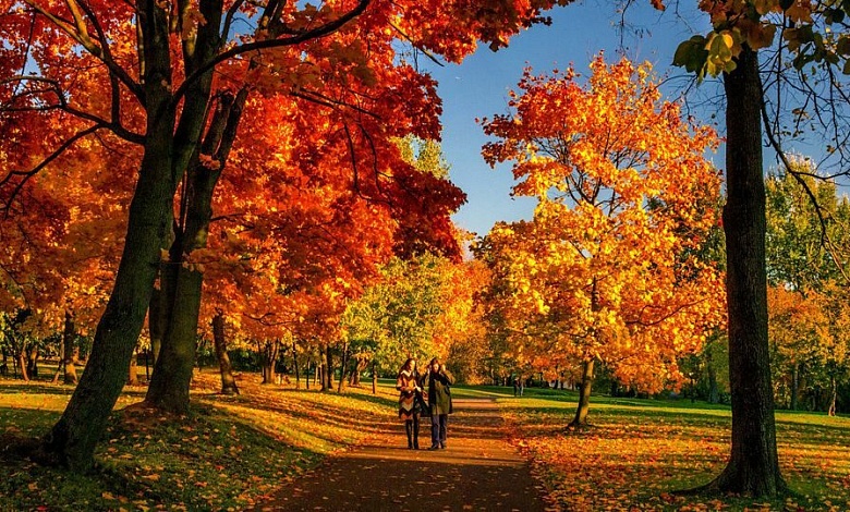 Большие выходные ждут белорусов в ноябре