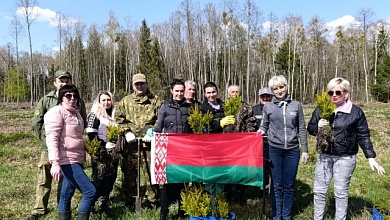 Новые леса! Акция "Лес! Дабро! Парадак!" продолжается в Лунинецком районе 