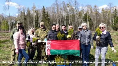 Новые леса! Акция "Лес! Дабро! Парадак!" продолжается в Лунинецком районе 