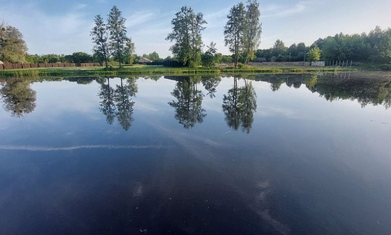 Перевернулась лодка: трех человек спасли работники МЧС | Брестская область