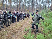 Молодые специалисты области ознакомились с работой Лунинецкого лесхоза 