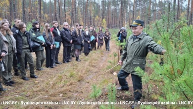 Молодые специалисты области ознакомились с работой Лунинецкого лесхоза 