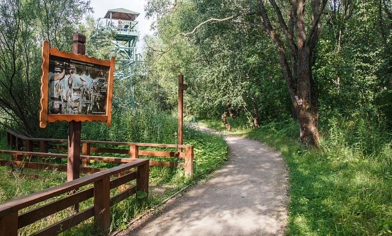 Уникальную экологическую тропу планируют создать в Лунинецком районе