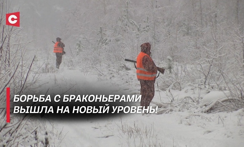 Из охотника – в добычу | Браконьеры в страхе | Какие последствия ждут нелегальных добытчиков дичи