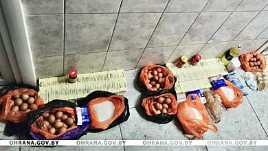 Украли продукты питания с производства и школьной столовой в Пинске и Минске