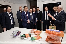 Опыт лунинчан заинтересовал делегацию Ленинградской области