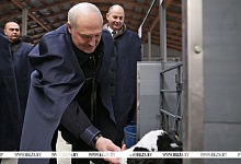 Рабочая суббота у Президента. Куда внепланово приехал Лукашенко и почему взялся за вилы