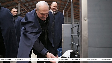 Рабочая суббота у Президента. Куда внепланово приехал Лукашенко и почему взялся за вилы