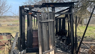 Сарайчик сгорел в агрогородке Бостынь Лунинецкого района