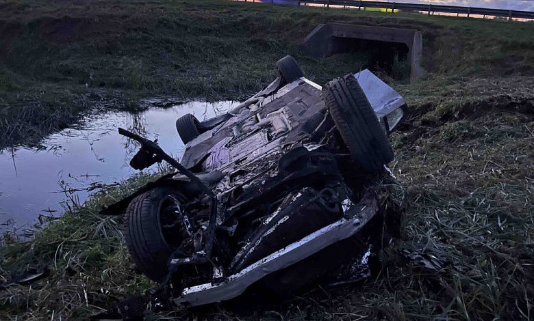 «BMW»-перевертыш и мопед в кювете: обзор ГАИ Брестской области за неделю