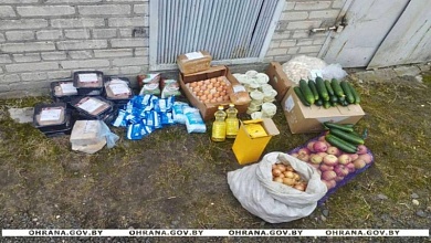 Как воруют продукты из школьных столовых. Попалась заведующая  