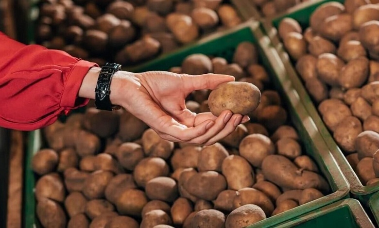 Феерия впечатлений! В магазинах проверили качество картофеля